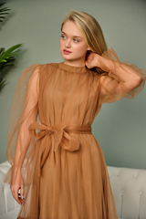 Brown Net Dress